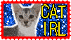 cat stamp